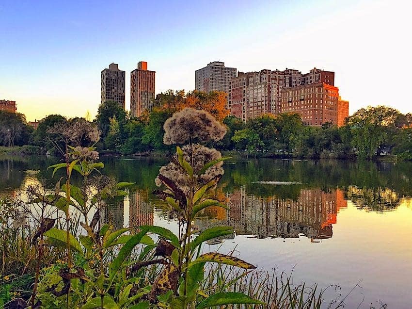 View across the pond in Lincoln Park, Chicago.