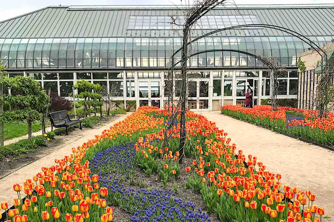 Garfield Park Conservatory in Chicago