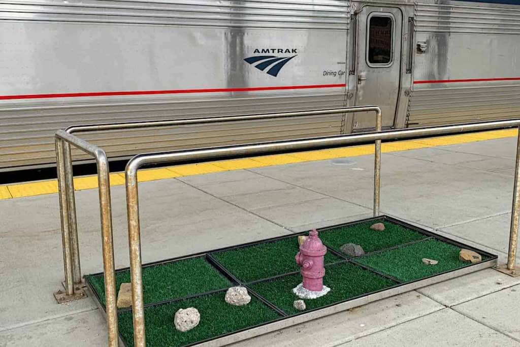 Amtrak station dog potty break area
