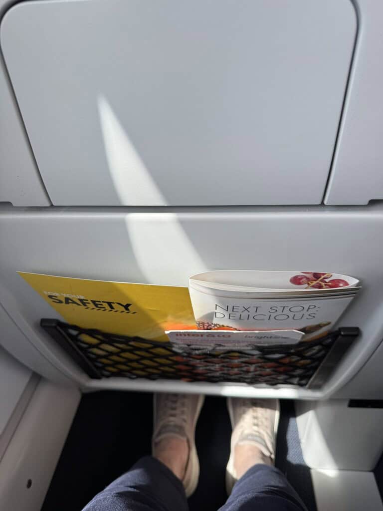 View of the back of the seat in front of me that shows legroom, tray table and mesh net with menu and safety sheet.
